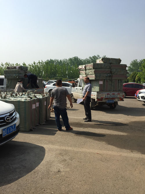 图为残疾人轮椅配发现场1