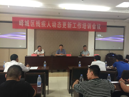 图为区残联王兰航理事长作重要讲话