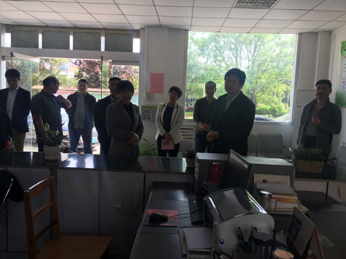 图为王国华理事长一行调研吴林街道残联
