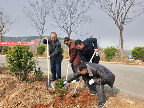 图为植树