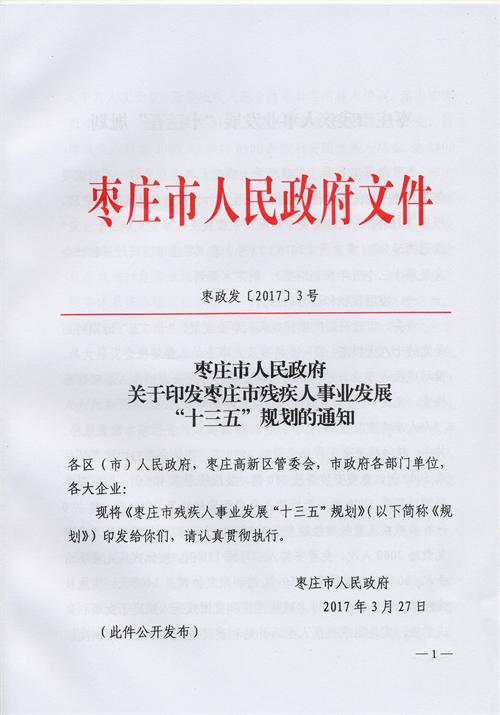 枣庄市残疾人事业十三五发展规划