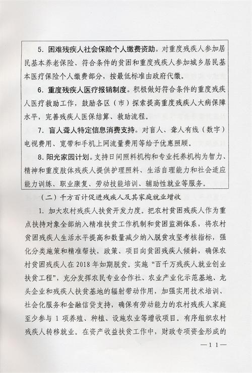 枣庄市残疾人事业十三五发展规划