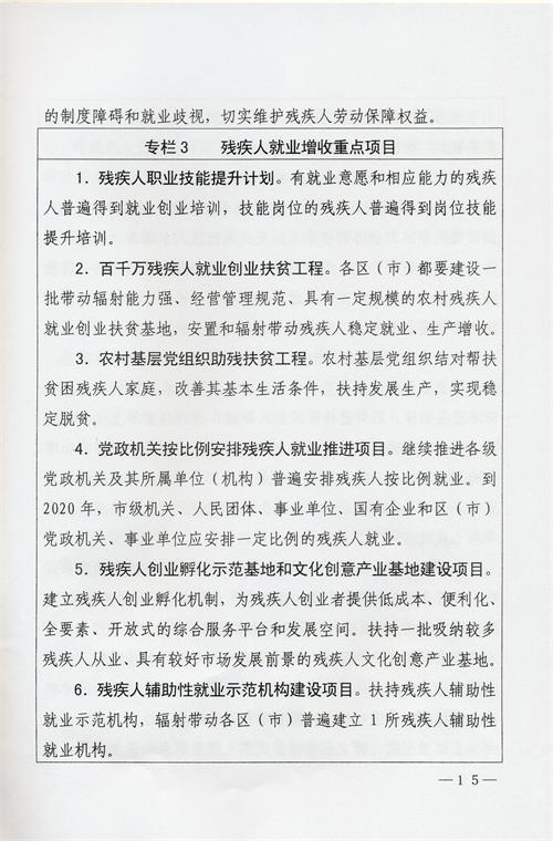 枣庄市残疾人事业十三五发展规划