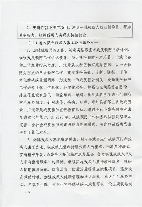 枣庄市残疾人事业十三五发展规划