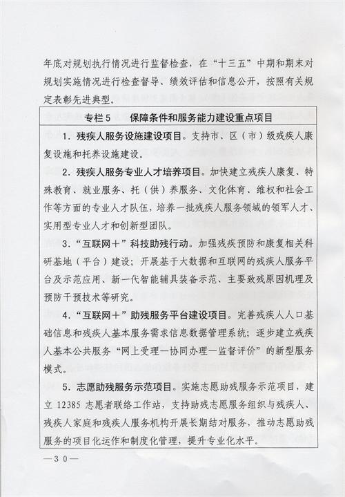 枣庄市残疾人事业十三五发展规划